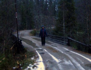 Norwegen Hjemmefjellet