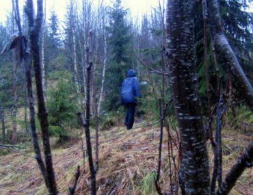 Norwegen Hjemmefjellet
