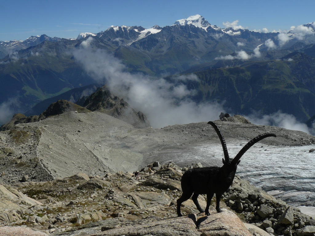 Glacier d' Orny