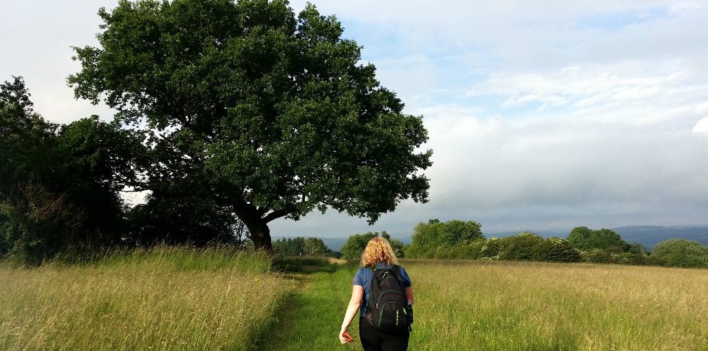 Westerwaldsteig - Bloggerwandern Rheinland-Pfalz 2016