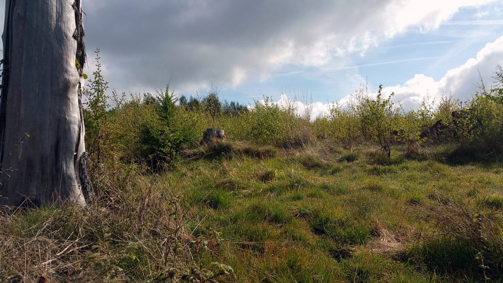 Trashrun durch Berge und Wälder ohne Müll