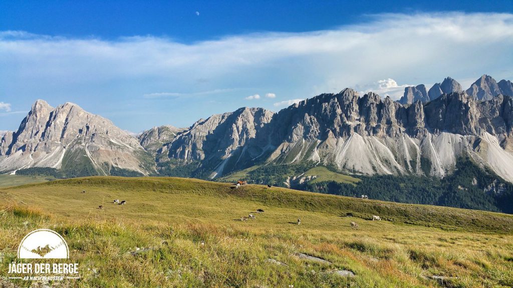 3 Gipfel Trailrun auf der Plose im Eisacktal