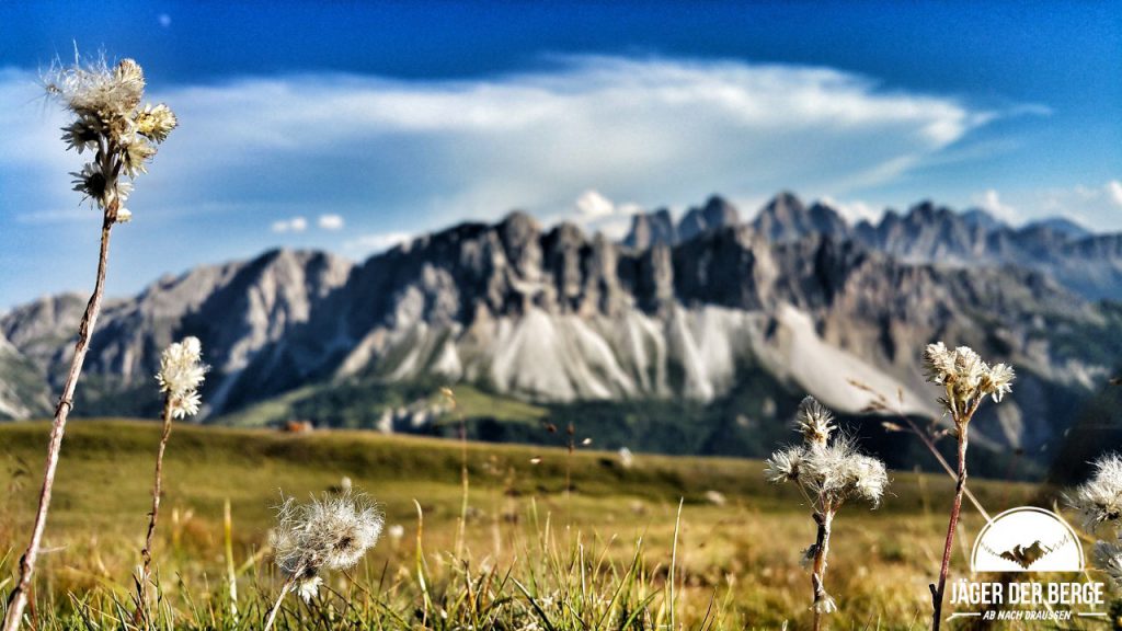 3 Gipfel Trailrun auf der Plose im Eisacktal