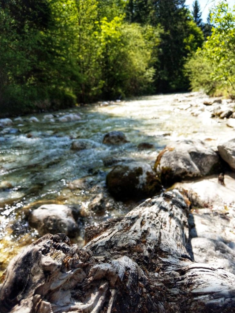 Nah am Wasser im Klausbachtal