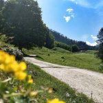 Durchs Klausbachtal zur Ragertalm – eine Wanderung für die ganze Familie