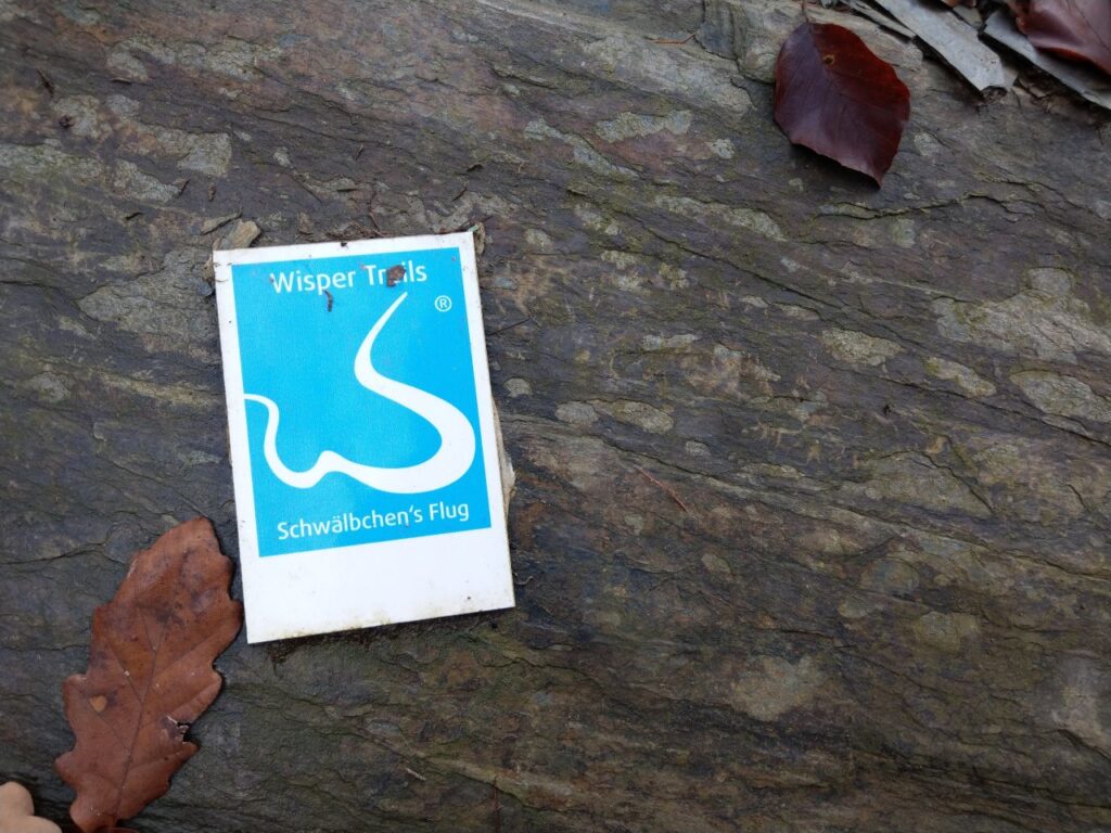 Mit Kindern auf den Wispertrails - Schwälbchen's Flug