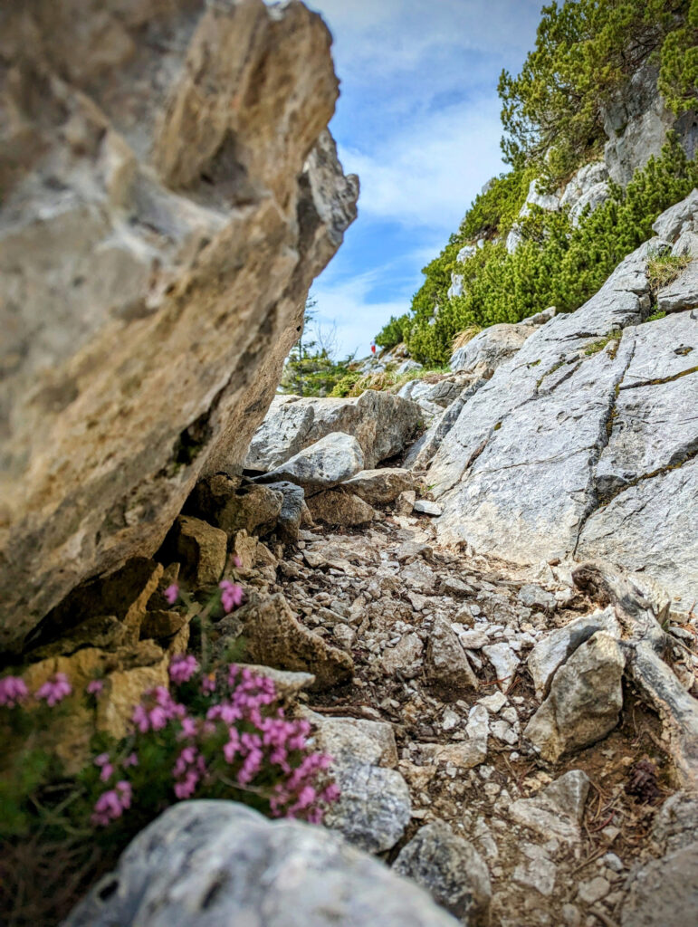 Traumhafter Trail beim Alpenstadt City und Trail