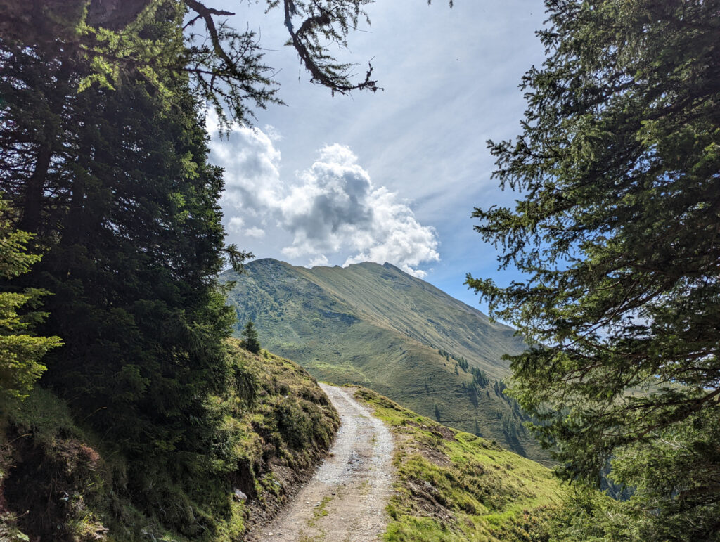 Blick auf den Zwölferkogel durch eine Baumöffnung, ein idyllischer Weg im Nationalpark Hohe Tauern.