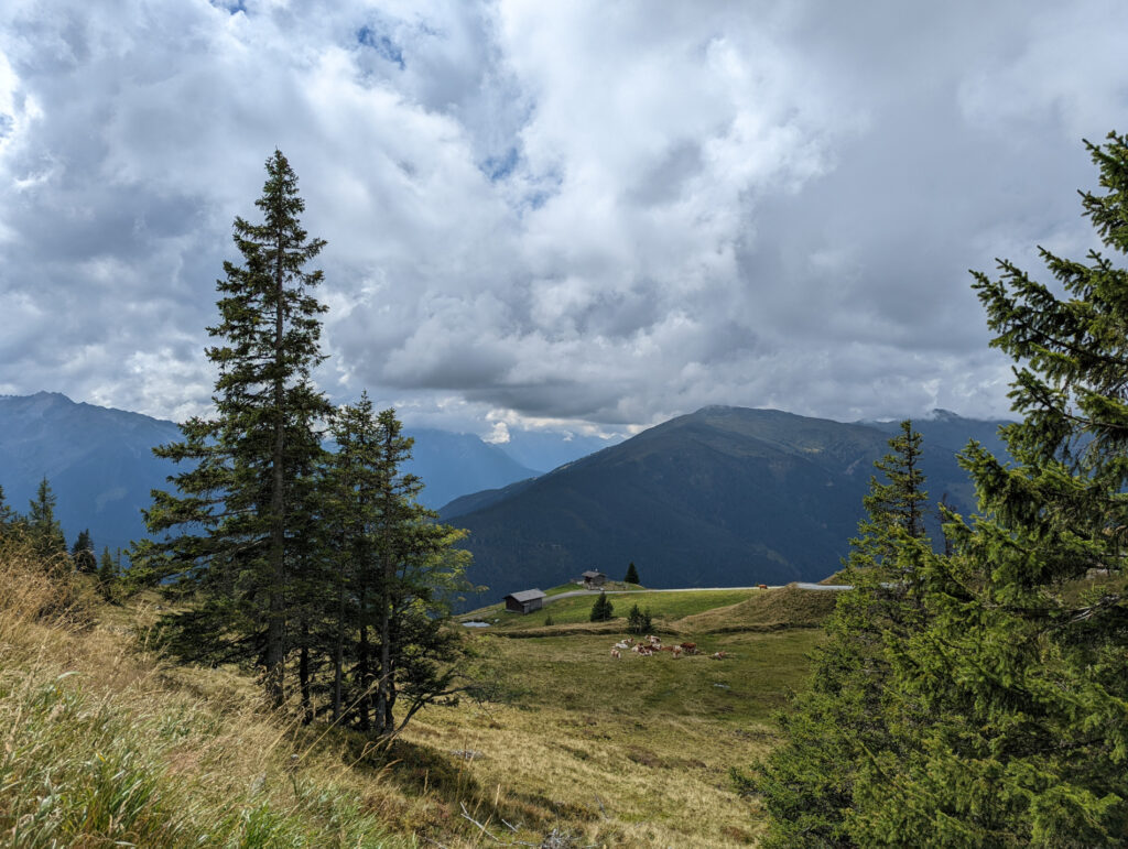 Weitläufige Berglandschaft am Resterkogel mit grasbewachsenen Hängen, einzelnen Bäumen und einem Haus in der Ferne, Ausblick im Familienurlaub.