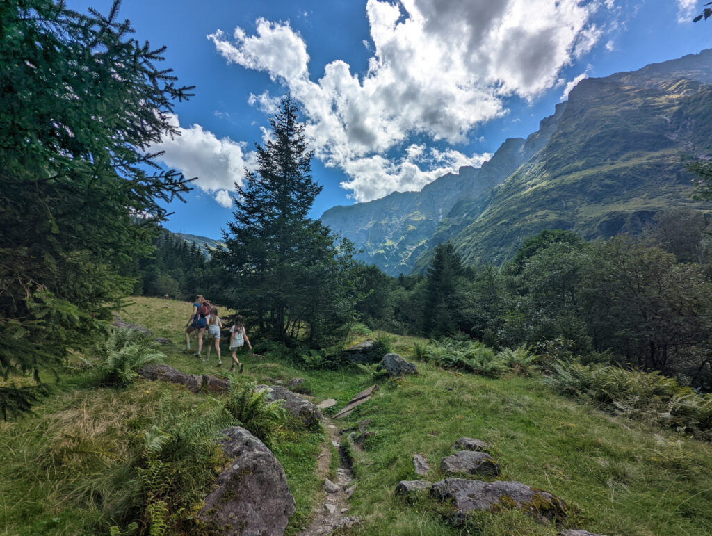 Familie wandert auf einem schönen Waldweg mit Blick auf die Berge, ein typisches Erlebnis im Familienurlaub im Nationalpark Hohe Tauern.