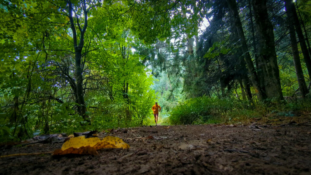 Eine Person in einer orangefarbenen Jacke rennt in der Ferne auf einem schlammigen Waldweg. Das Bild ist von niedrigem Standpunkt aus aufgenommen und der Weg wird von Bäumen und Büschen gesäumt.